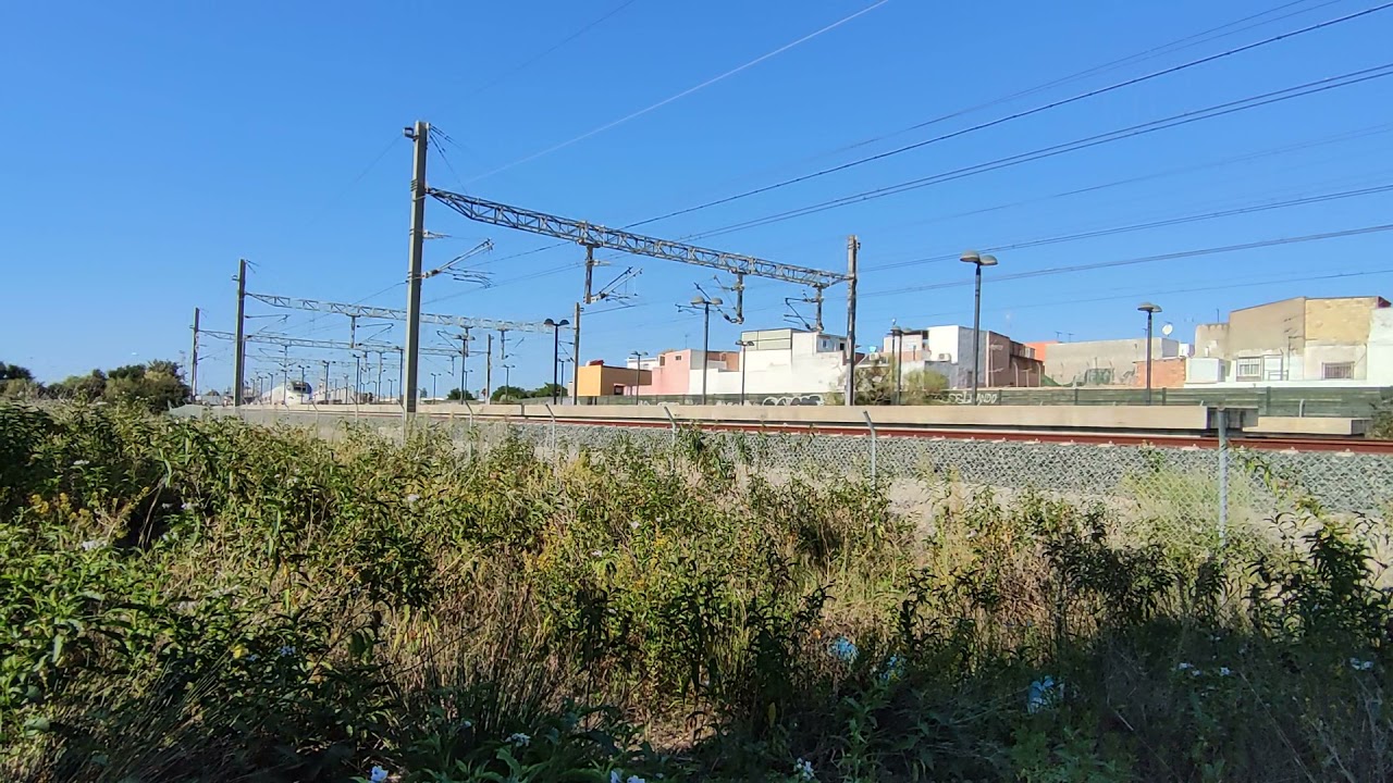 alvia circulando por El Puerto de Santa María camino de Madrid