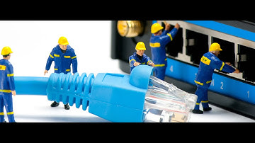 How To Get A New IP Address In Windows 10