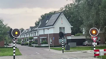 Busoverweg Hengelo // Dutch Bus lane crossing (New Update 2024)