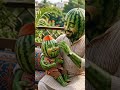 ##watermelon ##