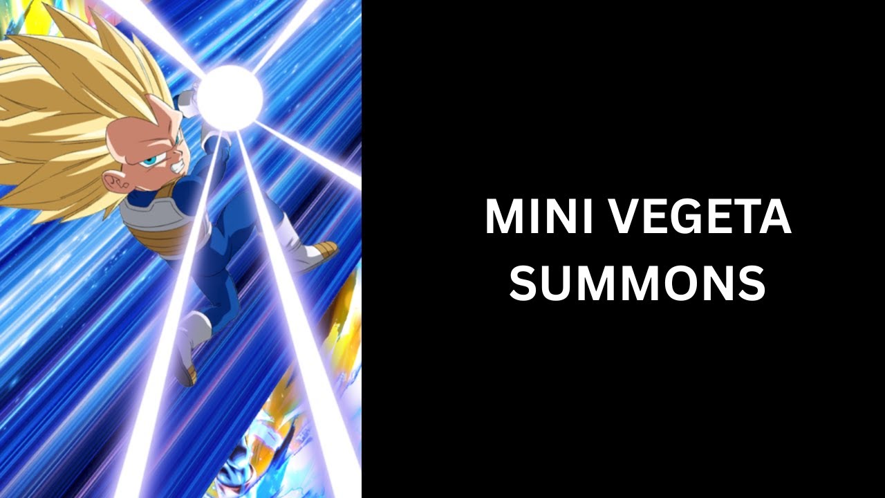 THESE WERE SOME LUCKY MINI VEGETA SUMMONS