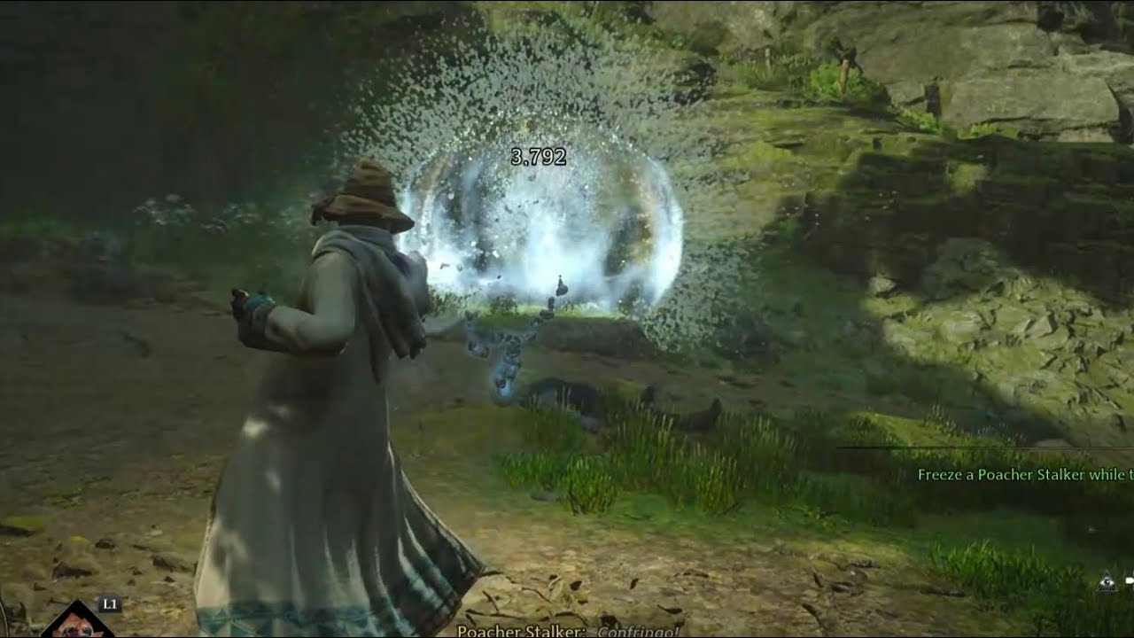 HOGWARTS LEGACY FREEZE A POACHER STALKER WHILE THEY ARE READYING THEIR ATTACK 