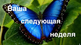Ваша следующая неделя 8-14 июня 😇🌸💜