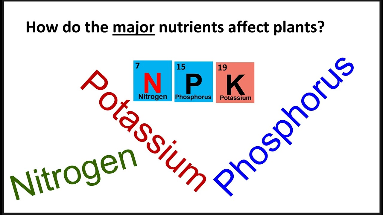 Introduction  To Agriculture-Basic Concepts