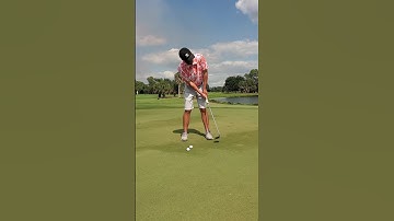 TC Activity 1 Part 2 Lesson 3 Face-on Pre