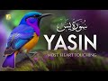 Surah yasin yaseen    beautiful voice heart touching  zikrullah tv