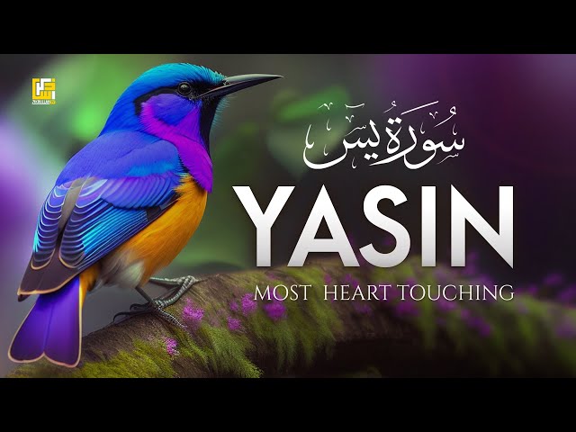 Surah Yasin (Yaseen) سورة يس | Beautiful voice heart touching | Zikrullah TV class=