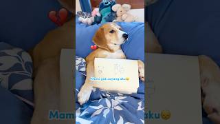 Ryuki Is Jealous Because Raidens Sister Was Bought New Clothes