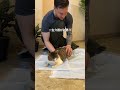 車にひかれた猫が起こした奇跡