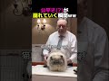 職業満足度トップクラスの仕事New Vision Cat Club 審査員