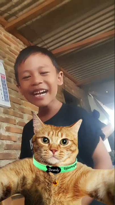 Viral Tik tok, hihihi dor dengarkanlah