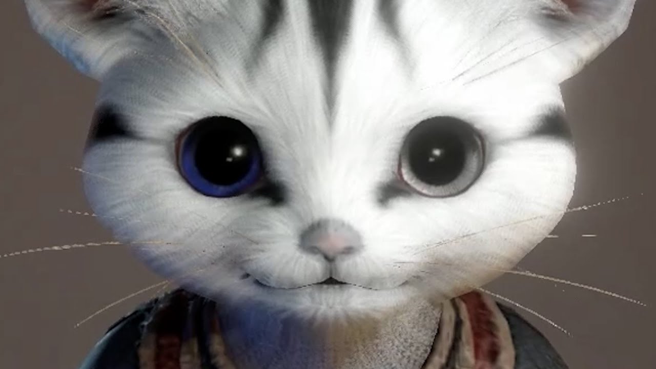 Cuteness Overload | LEOsMIND Clips