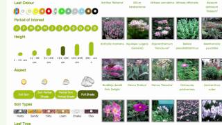 Right Plants 4 Me - How to choose the right garden plants