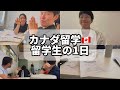【カナダ留学】カナダトロントの語学学校に通う留学生の1日を密着してみた！
