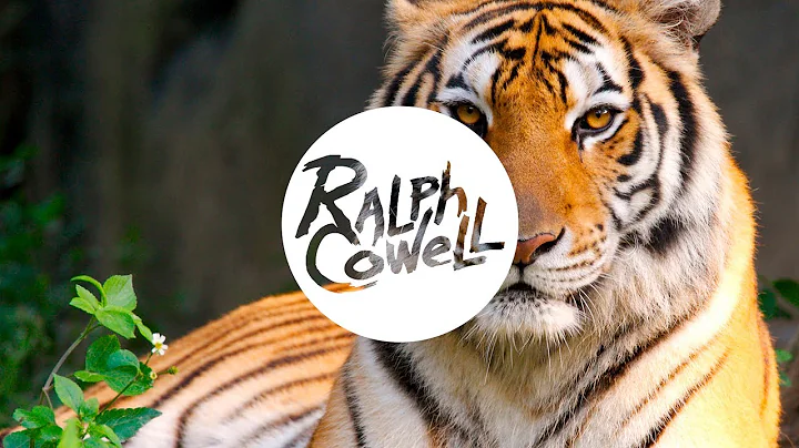 [Big Room] Survivor - Eye of the Tiger (Ralph Cowe...