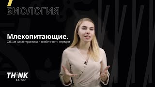 Млекопитающие 1.0. Общая характеристика и особенности развития | Биология