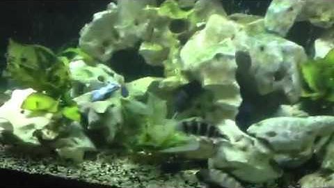 Paul Talbot talks about how important it is to have a batte