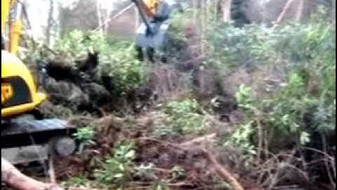 Jcb Js 130 with grab