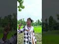 jila ke sara Bahubali ke 💪😈💪😈