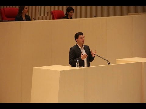 \"2014 წლის მოწვევის\" გახსნა - გიორგი არზიანი