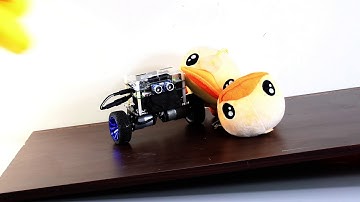 Terasic Self-Balancing Robot