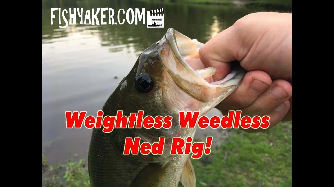 Bass Fishing with a Weightless Weedless Ned Rig Lure! - Fishing Tackle Tips  