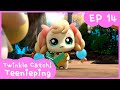 Kidspang twinkle catch teeniepingep14 memo this memoping 