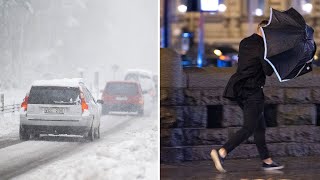 Vädervarningar På Flera Håll Bra Tryck I Regnet Tv4 Nyheterna Tv4 & Tv4 Play