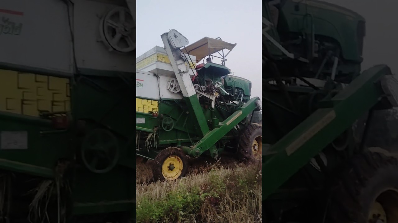 I Tried The Village Lifestyle For A Day