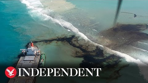 Mauritius conservationists race to save rare species from oil spill