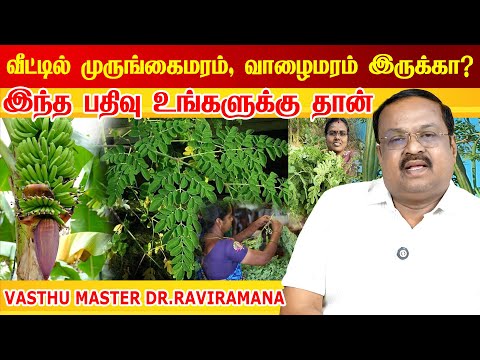 அதிர்ஷ்டம் தரும் மரங்கள் lucky trees indian astrology predictions lucky plants Dr.Ravi Ramana vastu