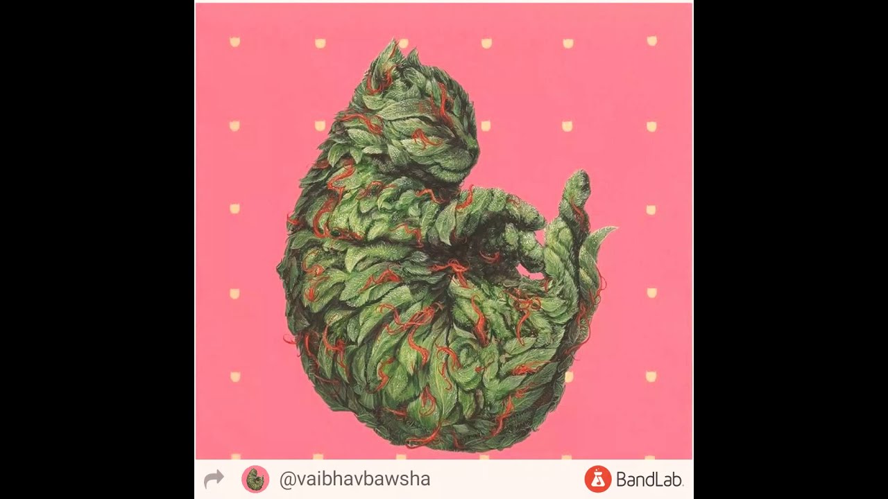 Street sangeet nigga