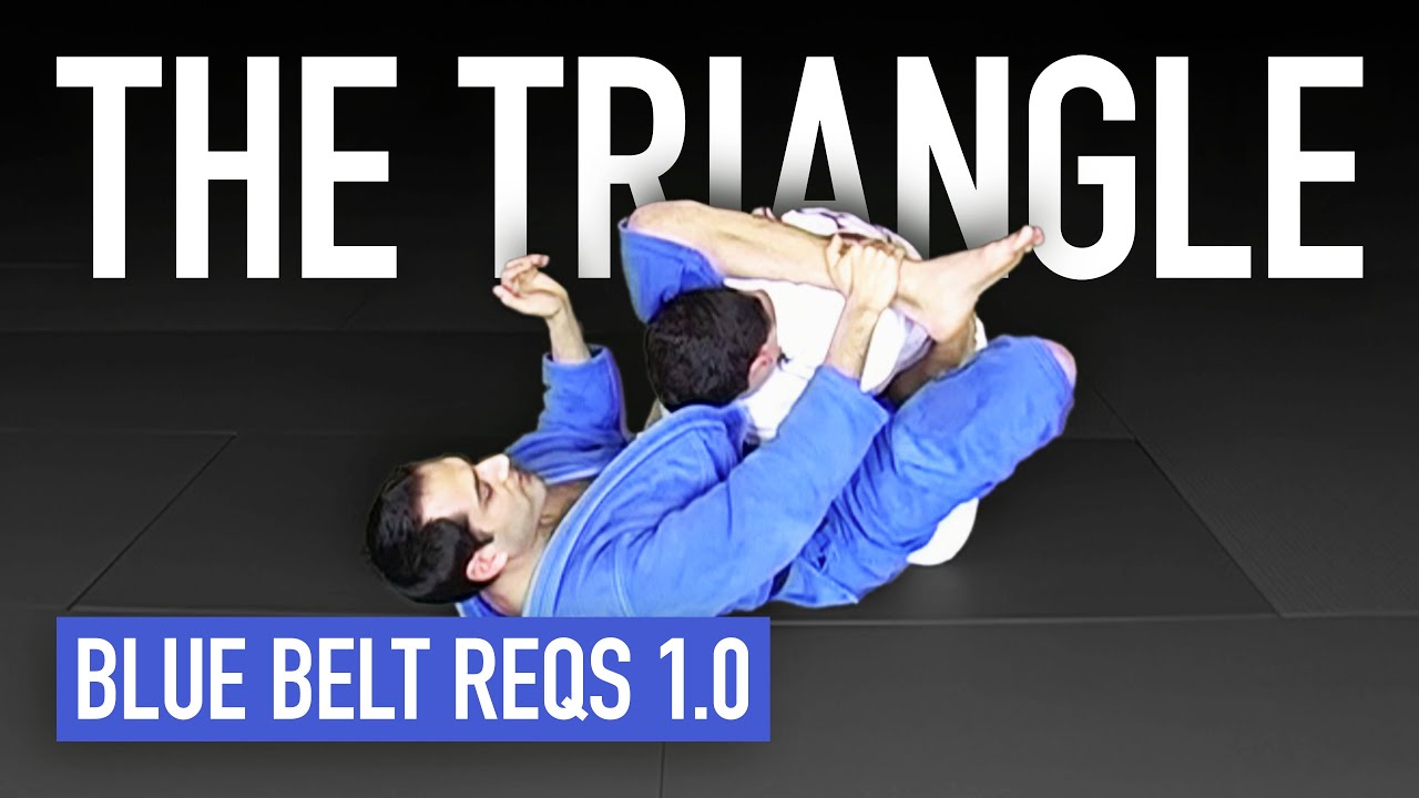 Brazilian Jiu Jitsu Blue Belt Requirements By Roy Dean lupon.gov.ph