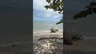 Sunday Funday in Corozal Pure Vibes, Culture &amp; Paradise! #caribbeanculture #beach #shorts #viral