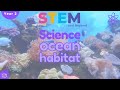 Ocean habitats  science for kids year 2  stem home learning