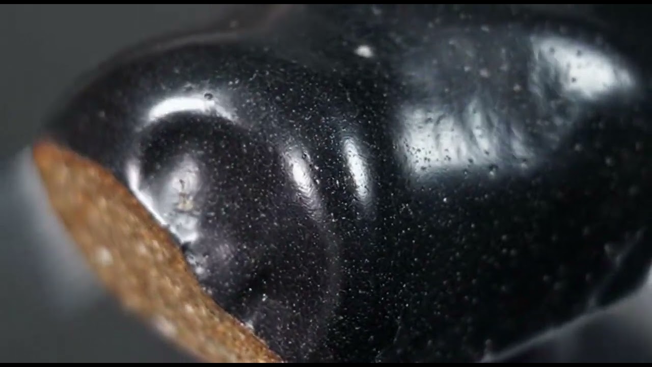 Fusion Crust: The Thermal Fingerprint of a Meteorite