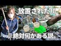 【トレジャーハンター】怪しい河川みつけた！価値あるレトロガラスを探す宝探しが面白い！