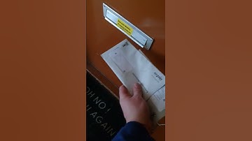 Feisty cat refuses to let postman put mail through