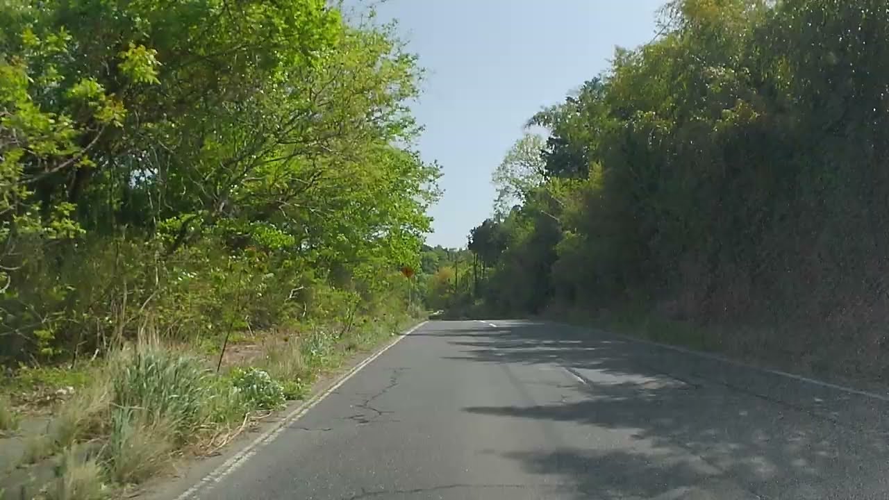 【森林浴ドライブ】千葉県木更津市笹子～草敷【車載動画】