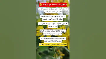 ٥ معلومات صادمة عن النباتات معلومات النباتات حقائق 
