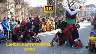 Fasnet Narrentreffen in Bad Dürrheim, Landschaftstreffen Baar Teil 3