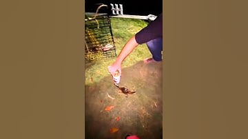 Ultimate👉Gaming PC Build in 2024....!..............#pcbuild #gaming #tradingpc #editingpc #tech