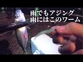 雨でもアジング！雨にはこのワーム！【大分・釣り】
