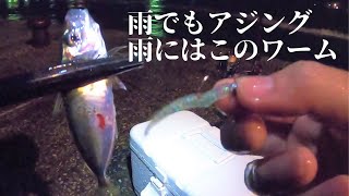 雨でもアジング！雨にはこのワーム！【大分・釣り】