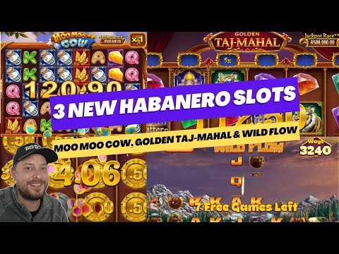 3 New Habanero Games (Golden Taj-Mahal, Moo Moo Cow & Wild Flow)