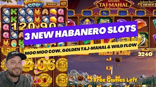 3 New Habanero Games (Golden Taj-Mahal, Moo Moo Cow & Wild Flow) screenshot 4