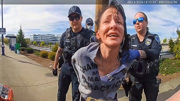 Sovereign Citizen Turns Simple Traffic Stop Into Pure Chaos