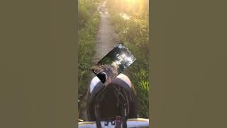 Karel Simon & Hera Sofyan - Kemane | Lagu Dusun | Lagu Daerah | Besemah Sumsel Lahat Pagaralam | 