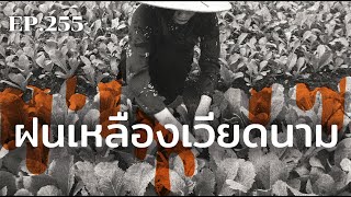 เหยื่อฝนเหลืองเวียดนาม ผลพวงแห่งสงคราม | ร้อยเรื่องรอบโลก EP.255