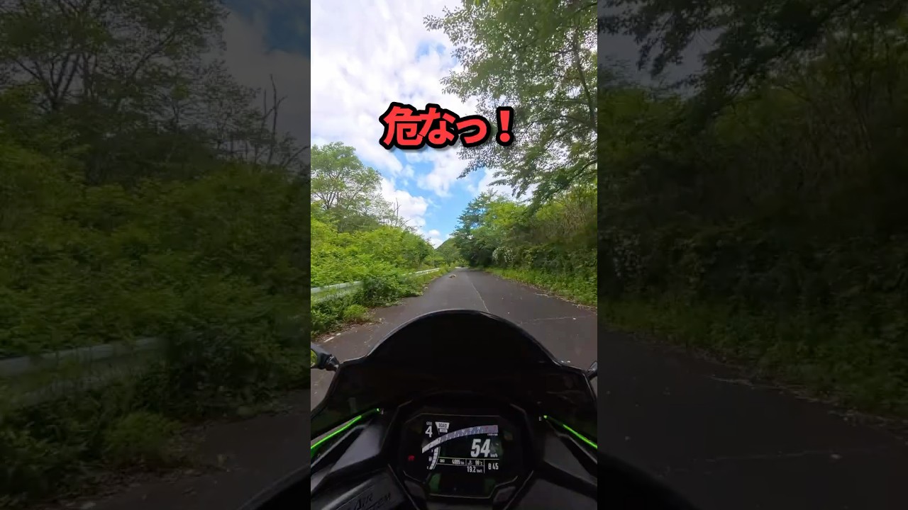 今の見えた？走行中に起きた一瞬の出来事【ZX-4RR】 - YouTube